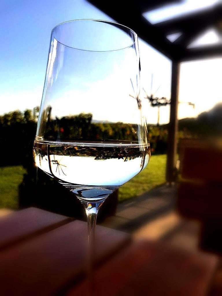 Zweytick Gaestezimmer Weingut Ratsch an der Weinstrasse Exterior photo