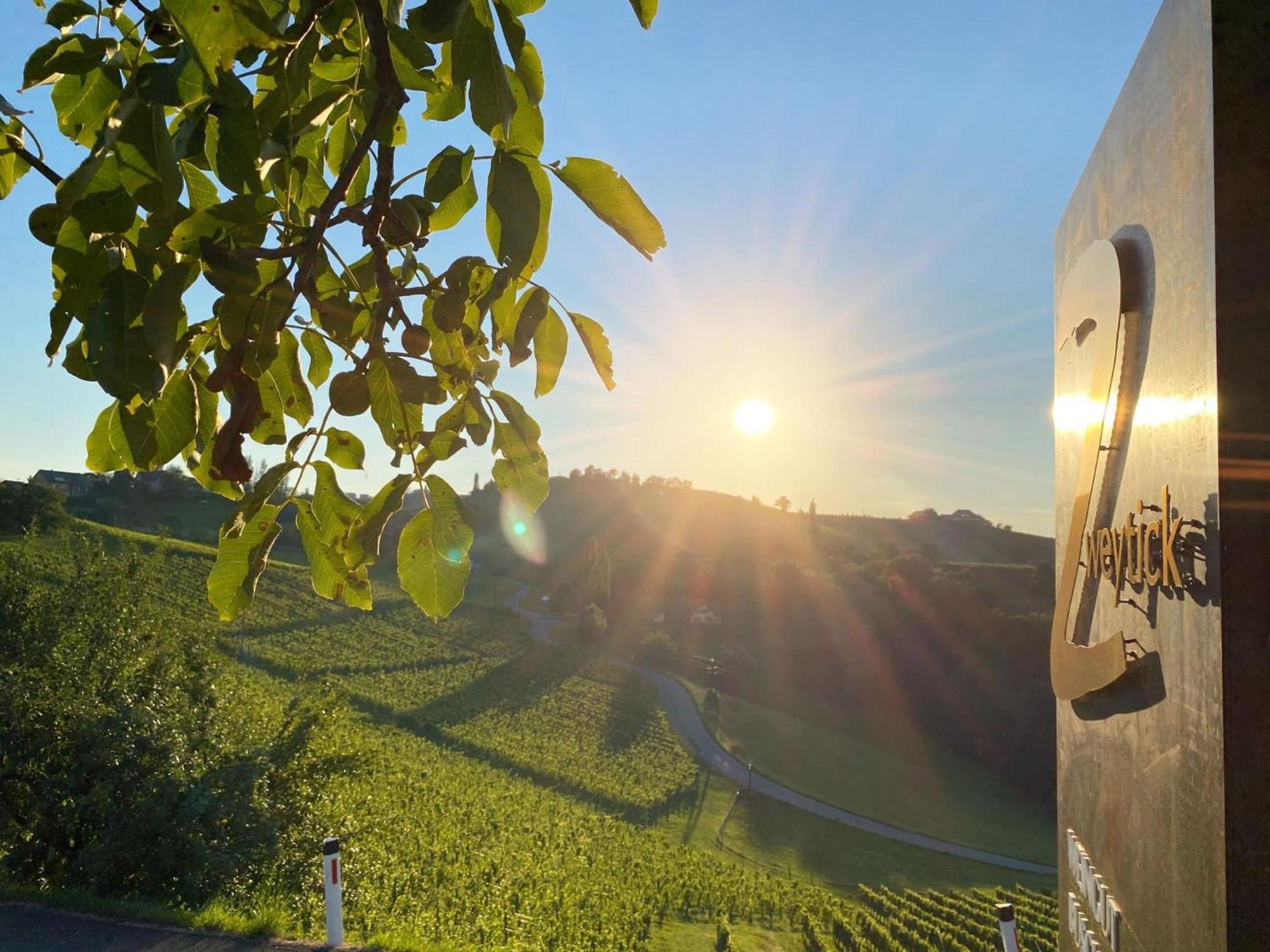 Zweytick Gaestezimmer Weingut Ratsch an der Weinstrasse Exterior photo