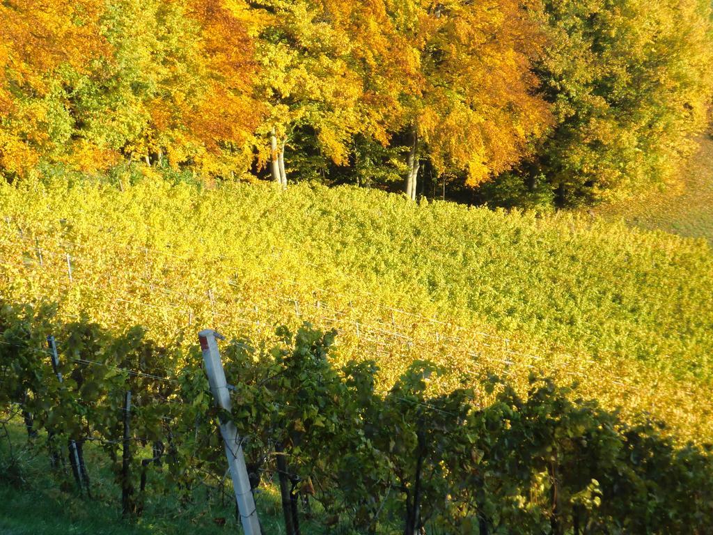 Zweytick Gaestezimmer Weingut Ratsch an der Weinstrasse Exterior photo