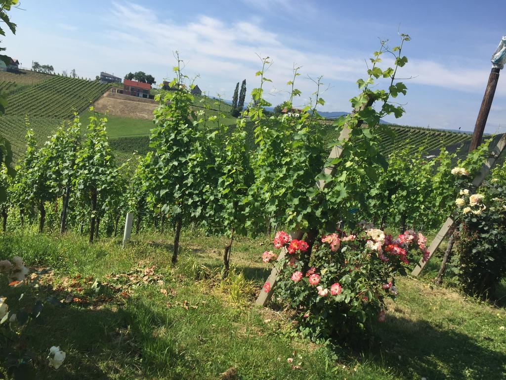 Zweytick Gaestezimmer Weingut Ratsch an der Weinstrasse Exterior photo