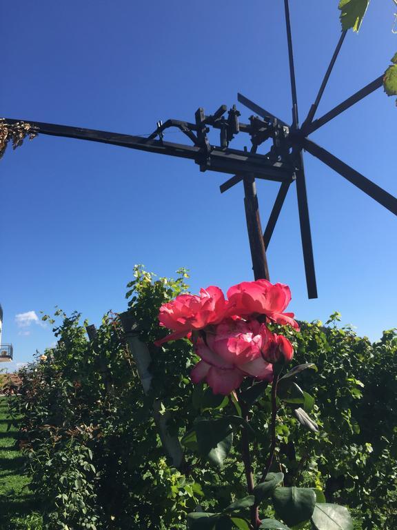 Zweytick Gaestezimmer Weingut Ratsch an der Weinstrasse Exterior photo